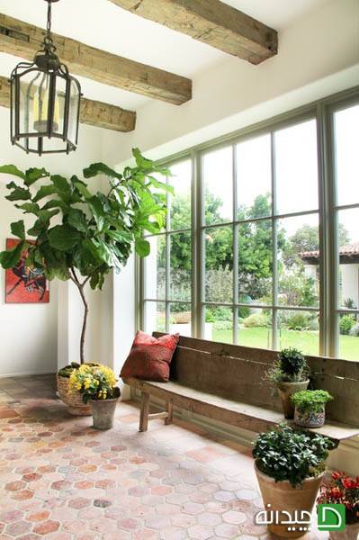 نور مناسب برای گیاهان درون خانه