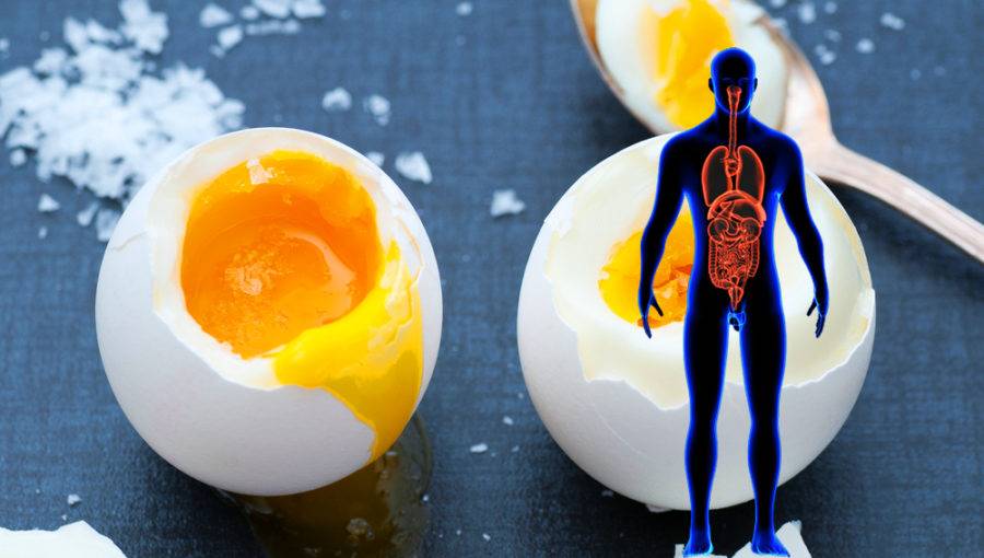 اگر هر روز 2 عدد تخم مرغ بخورید، چه اتفاقی در بدن شما رخ می دهد؟