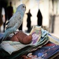 فروشندگان فـال و خریداران حـال