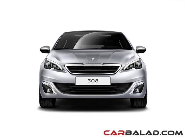 Peugeot_308_Carbalad_2