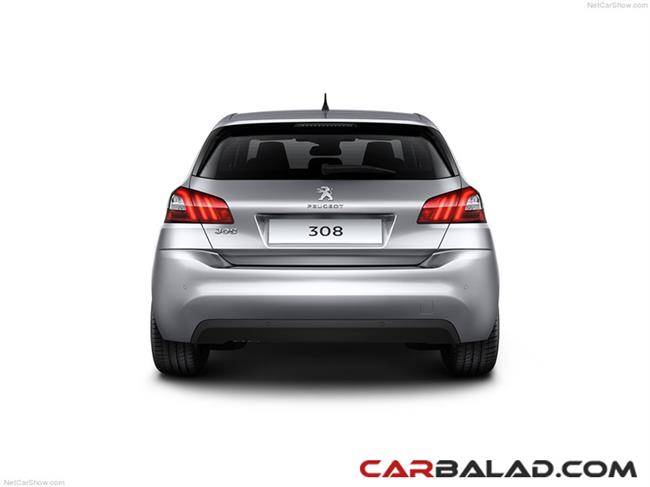 Peugeot_308_Carbalad_4