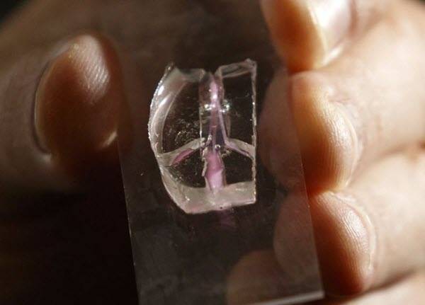 رگ های خونی مصنوعی، امیدی تازه برای درمان دندان های پوسیده