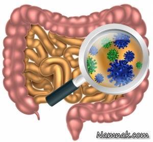 توصیه های مهم غذایی برای داشتن روده سالم