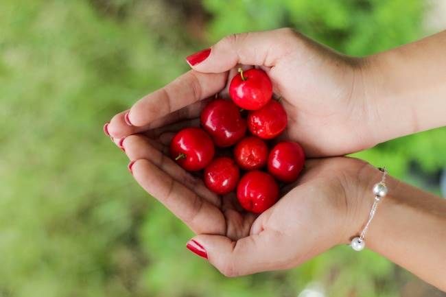 غذاهایی که برای پوست مفید هستند