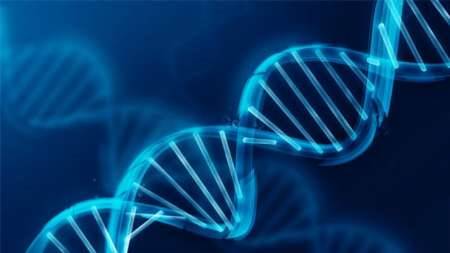 ساخت رشته سیم‌های نانویی «DNA» توسط دانشمند کره‌ای