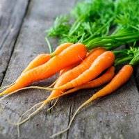 هویج و سیب زمینی درشت نخرید