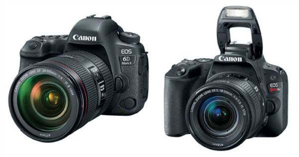 شرکت کانن از دو دوربین EOS 6D Mark II و EOS Rebel SL2 رونمایی کرد