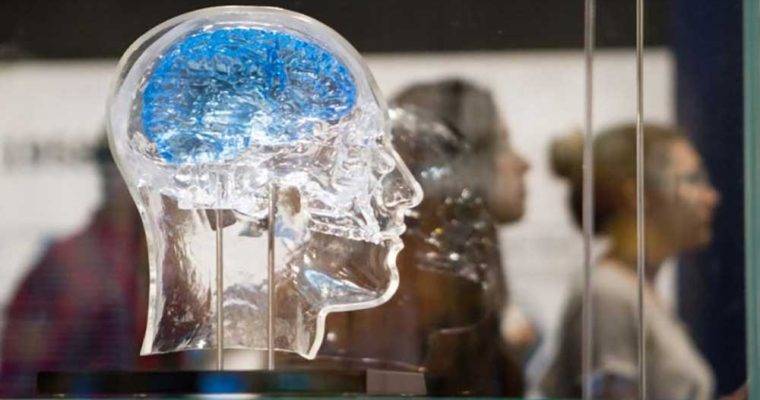 روش جدید دانشمندان برای پرورش سلول ها مغزی به صورت 3 بعدی