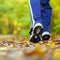 پیاده روی موجب افزایش هوش می شود