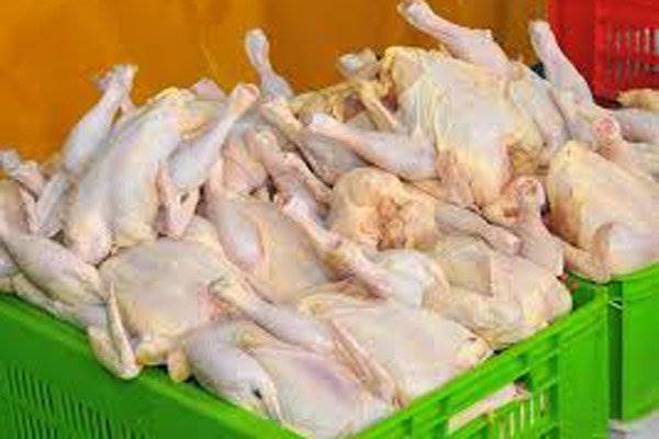 قیمت مرغ از 8000 تومان گذشت/ گرما دلیل گرانی است