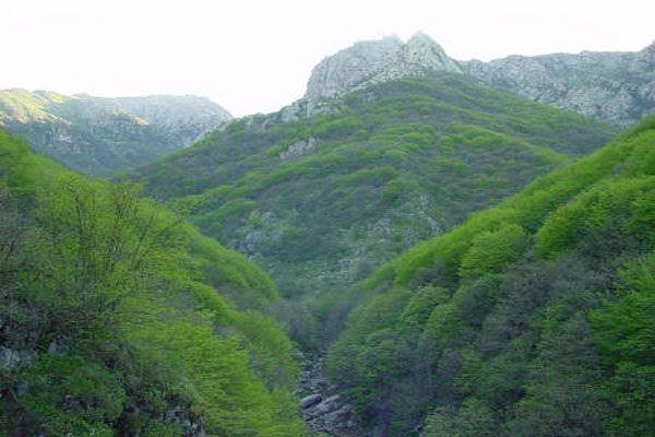 ایران امسال در یونسکو پرونده میراث طبیعی ندارد