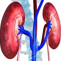 بهترین درمان نارسایی کلیه در بیماران دیابتی