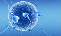 اولین فرزند IVF