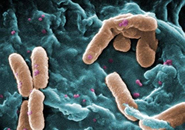 استفاده از نانوفناوری برای مبارزه با باکتری‌های مقاوم به آنتی‌بیوتیک