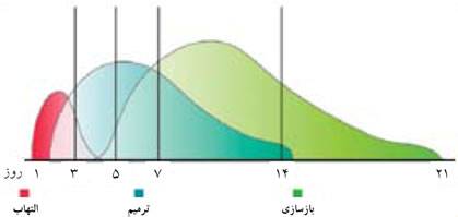 زمانی برای ترمیم زخم‌ها