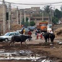 گاومیش آباد گمشده ایران