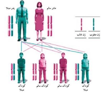 بیماری‌های ژنتیکی چگونه به ارث می‌رسند؟