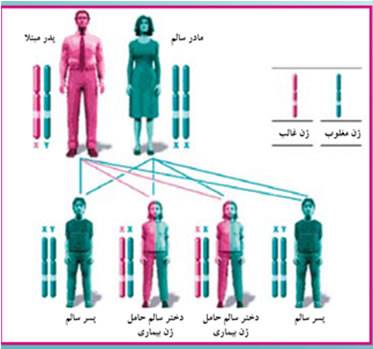 بیماری‌های ژنتیکی چگونه به ارث می‌رسند؟