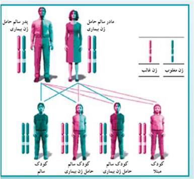 بیماری‌های ژنتیکی چگونه به ارث می‌رسند؟