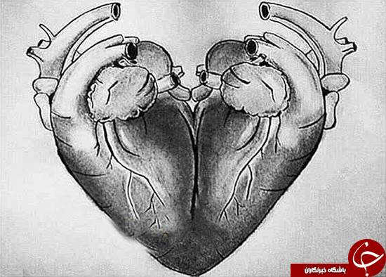 چرا سمبل عشق شبیه قلب انسان نیست؟ +عکس