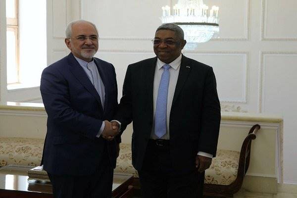 رئیس مجلس ماداگاسکار با ظریف دیدار کرد/ ابلاغ پیام به روحانی