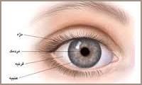 بیماری‌های چشم و روش‌های درمان آن در دوره‌ی اسلامی