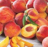 برای تقویت میل جنسی این غذاها را بخورید