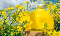 آیا روغن کانولا برای شما مضر است؟