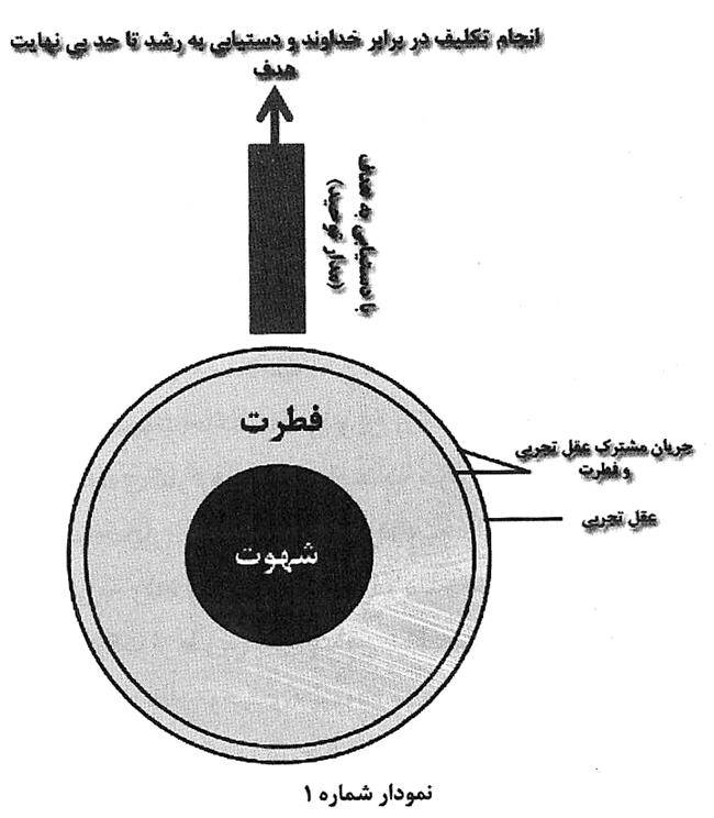  معنای سعادت و شقاوت