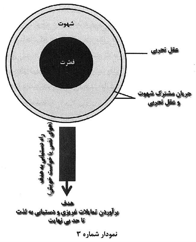  معنای سعادت و شقاوت