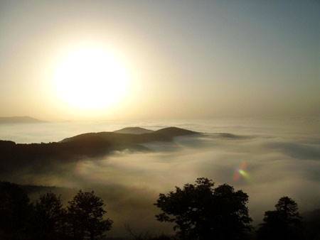 جنگل ابر   سمنان