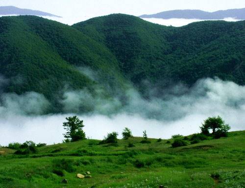 جنگل ابر   سمنان