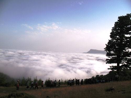 جنگل ابر   سمنان