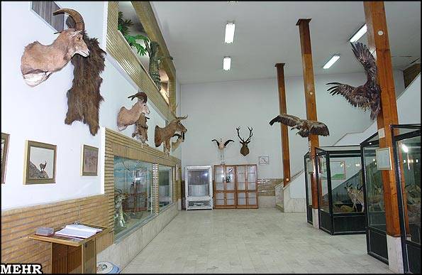 موزه تاریخ طبیعی زنجان