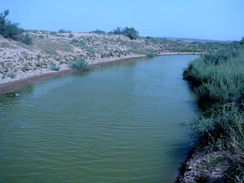 رودخانه شور