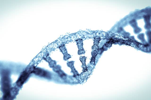 اصلاح ژنتیکی راهی برای درمان ای.ال.اس و بیماری هانتینگتون