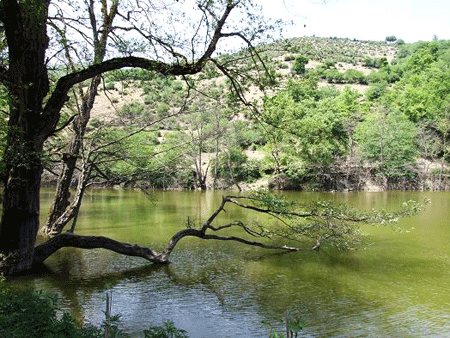 دریاچه شورمست