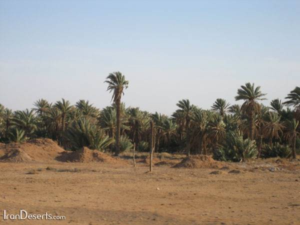 روستای مصر