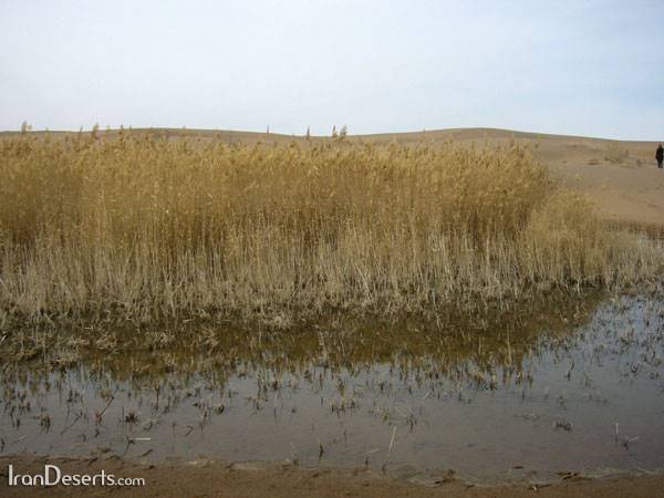 روستای مصر