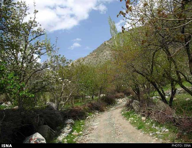 شکوه پاییز جیرفت، شما را جادو میکند شکوه پاییز جیرفت، شما را جادو میکند
