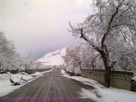 روستای سرسبز مصعبی