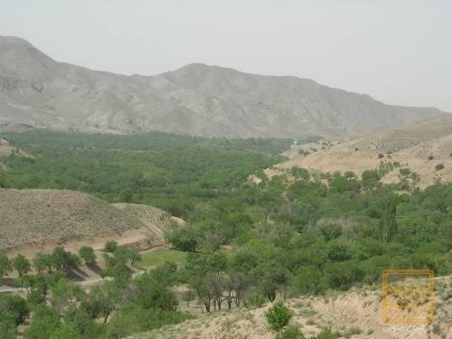 روستای سرسبز مصعبی