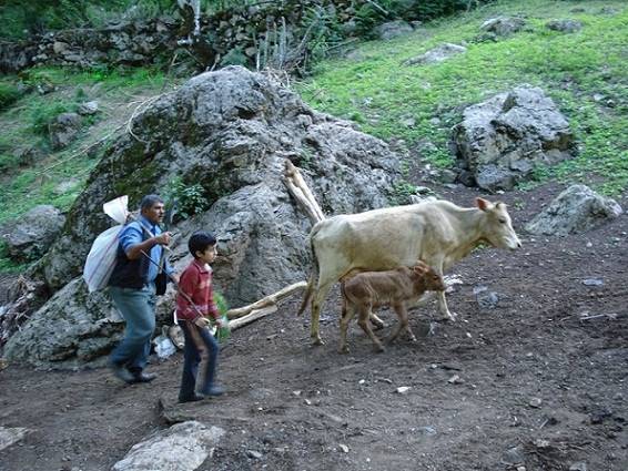 مناطق کوهستانی  فومن 