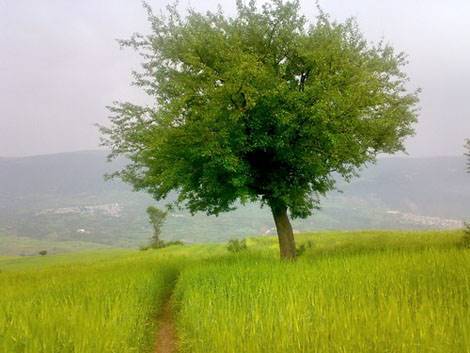 روستای سیبن 