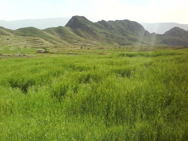 روستای دوان