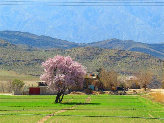 روستای هکان 