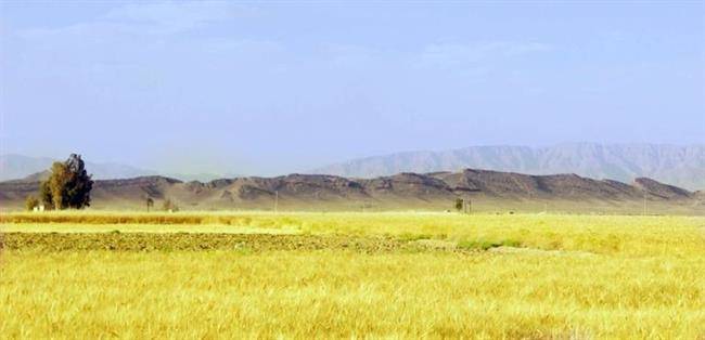 روستای هکان 