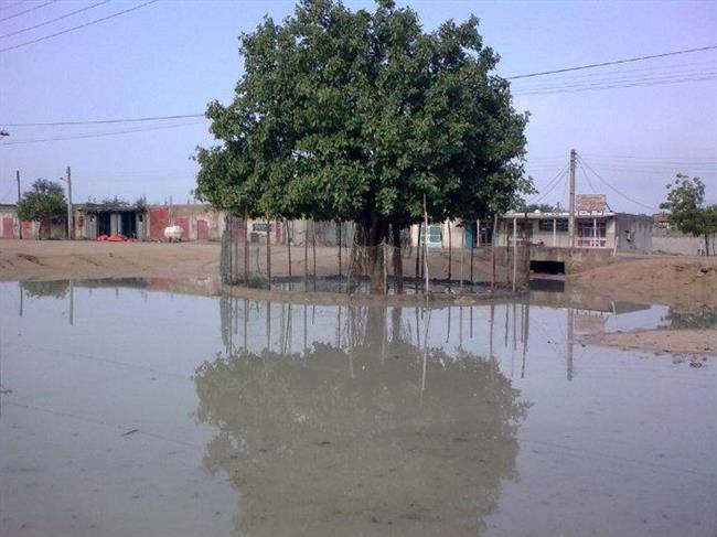 روستای توریان 