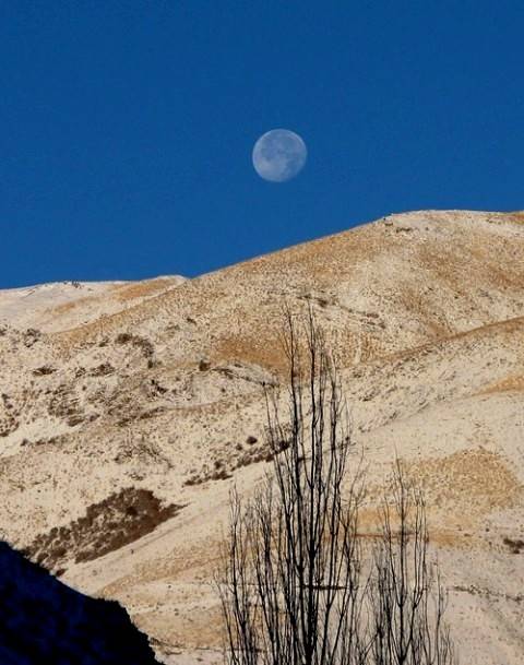 روستای زشک