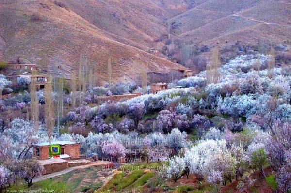 روستای قزاان 